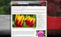 blumenfreund